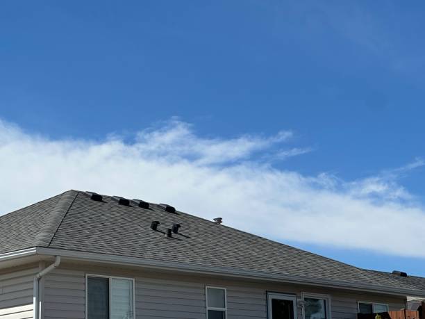 Best Rubber Roofing (EPDM, TPO)  in Latimer, MS